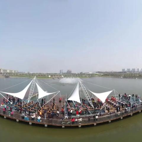 (树元素建筑)探寻悠久之树元素之心的秘密：传承千年的神秘力量与智慧