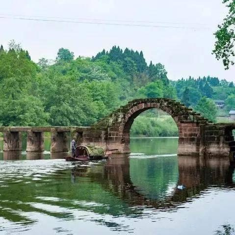 (树元素建筑)探寻悠久之树元素之心的秘密：传承千年的神秘力量与智慧