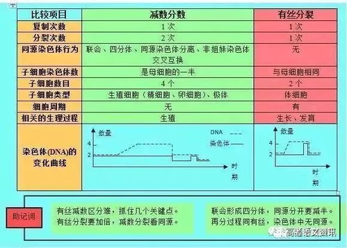 昨晚六给彩开什么特马|解析机构预测的实施策略_日常版.0.258