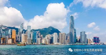 新澳今天最新免费资料|探索城市中的隐藏美景_现实版.9.23