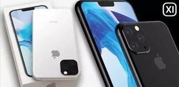 百分百高手论坛网|重要性解释落实方法_旗舰版IPHONE.9.817